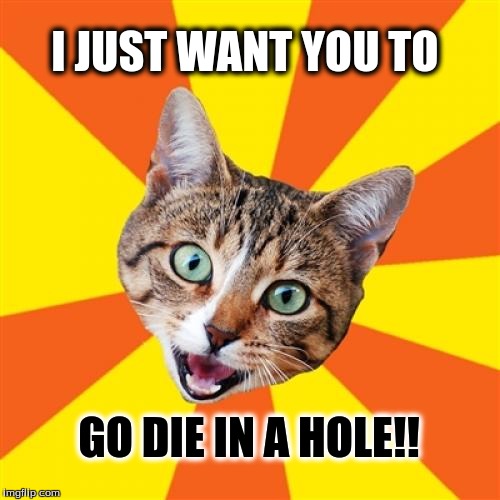 Bad Advice Cat | I JUST WANT YOU TO; GO DIE IN A HOLE!! | image tagged in memes,bad advice cat | made w/ Imgflip meme maker
