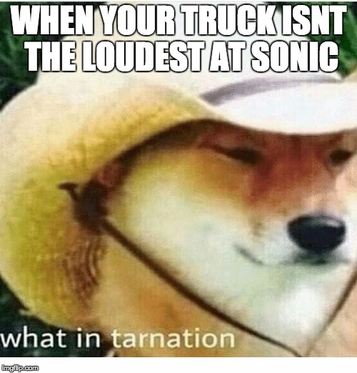 what in tarnation | WHEN YOUR TRUCK ISNT THE LOUDEST AT SONIC | image tagged in what in tarnation,memes,funny memes | made w/ Imgflip meme maker