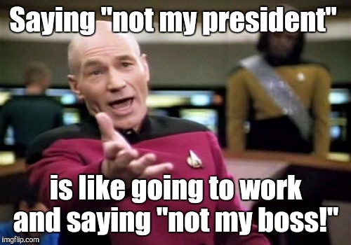 Picard Wtf Meme | Saying "not my president" is like going to work and saying "not my boss!" | image tagged in memes,picard wtf | made w/ Imgflip meme maker