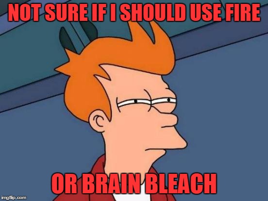 Futurama Fry Meme | NOT SURE IF I SHOULD USE FIRE OR BRAIN BLEACH | image tagged in memes,futurama fry | made w/ Imgflip meme maker