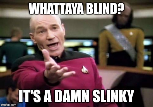 Picard Wtf Meme | WHATTAYA BLIND? IT'S A DAMN SLINKY | image tagged in memes,picard wtf | made w/ Imgflip meme maker