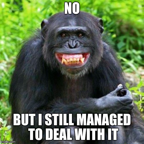 Keep Smiling | NO BUT I STILL MANAGED TO DEAL WITH IT | image tagged in keep smiling | made w/ Imgflip meme maker