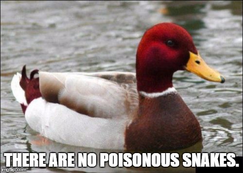 Malicious Advice Mallard | THERE ARE NO POISONOUS SNAKES. | image tagged in memes,malicious advice mallard | made w/ Imgflip meme maker