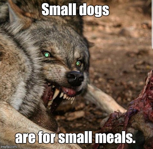 Savagery | Small dogs are for small meals. | image tagged in savagery | made w/ Imgflip meme maker