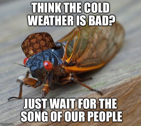 Just wait till the song of my people | THINK THE COLD WEATHER IS BAD? JUST WAIT FOR THE SONG OF OUR PEOPLE | image tagged in cold weather,scumbag hat,annoying | made w/ Imgflip meme maker