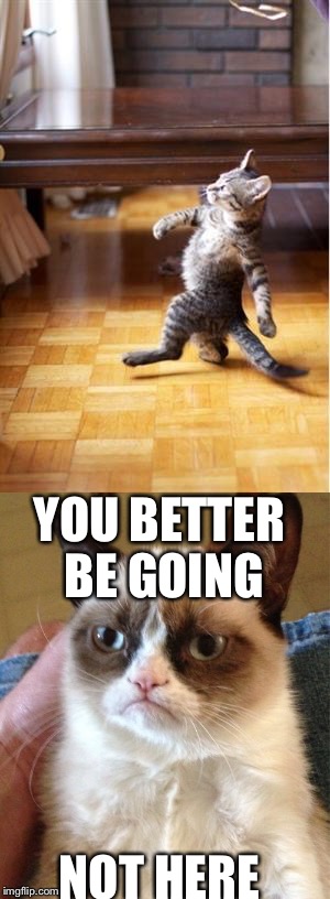 Ah, roomates | YOU BETTER BE GOING; NOT HERE | image tagged in grumpy cat | made w/ Imgflip meme maker