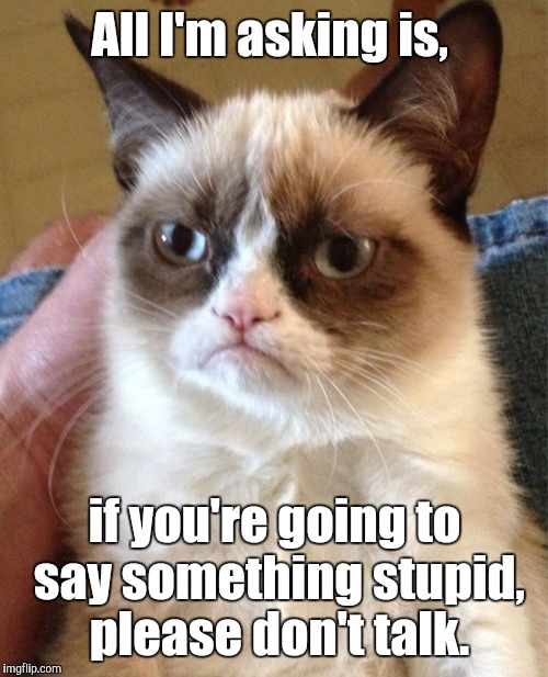 Grumpy Cat Meme | All I'm asking is, if you're going to say something stupid, please don't talk. | image tagged in memes,grumpy cat | made w/ Imgflip meme maker