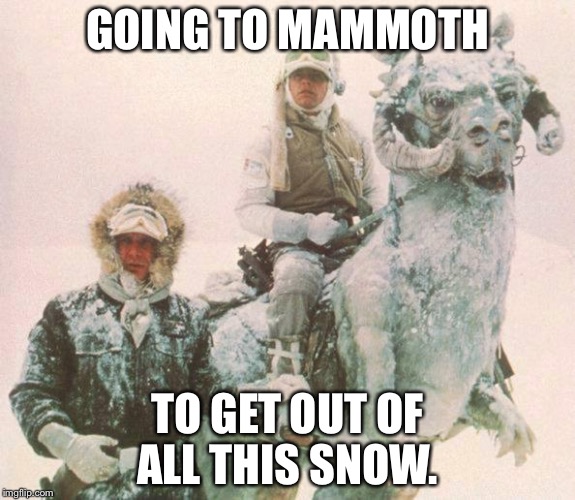 TaunTaun | GOING TO MAMMOTH; TO GET OUT OF ALL THIS SNOW. | image tagged in tauntaun | made w/ Imgflip meme maker