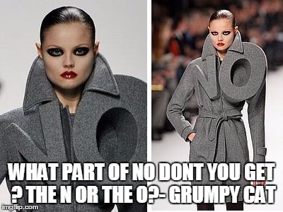 WHAT PART OF NO DONT YOU GET ? THE N OR THE O?- GRUMPY CAT | image tagged in funny,funny girl,2017,grumpy cat | made w/ Imgflip meme maker