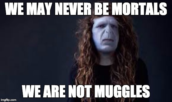 Lorde Voldemort | WE MAY NEVER BE MORTALS; WE ARE NOT MUGGLES | image tagged in harry potter | made w/ Imgflip meme maker