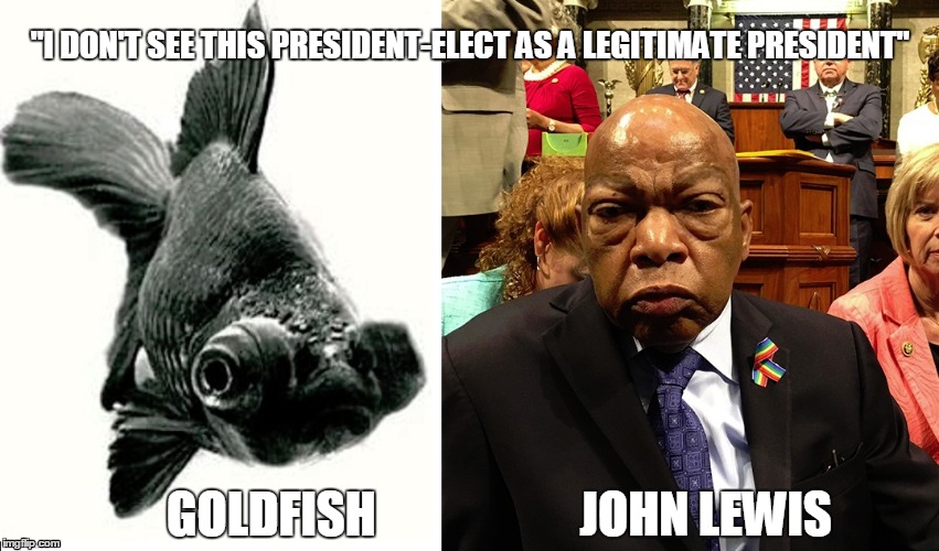 Goldfish Lewis | "I DON'T SEE THIS PRESIDENT-ELECT AS A LEGITIMATE PRESIDENT"; GOLDFISH                     JOHN LEWIS | image tagged in president,trump,congress,looser,tantrum | made w/ Imgflip meme maker