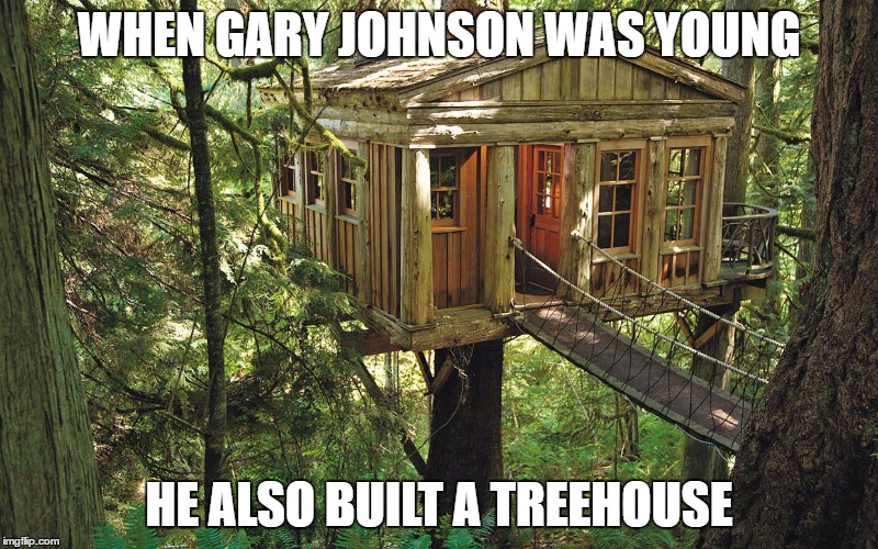 Gary Johnson's Treehouse | WHEN GARY JOHNSON WAS YOUNG; HE ALSO BUILT A TREEHOUSE | image tagged in gary johnson,libertarian,party,treehouse,memes,funny | made w/ Imgflip meme maker