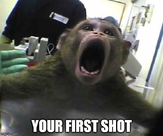 monkey | YOUR FIRST SHOT | image tagged in hahaha | made w/ Imgflip meme maker