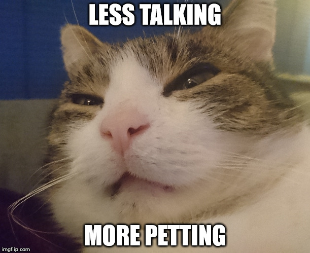 LESS TALKING; MORE PETTING | image tagged in kill you cat,fat cat | made w/ Imgflip meme maker