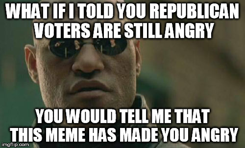 Matrix Morpheus | WHAT IF I TOLD YOU REPUBLICAN VOTERS ARE STILL ANGRY; YOU WOULD TELL ME THAT THIS MEME HAS MADE YOU ANGRY | image tagged in memes,matrix morpheus | made w/ Imgflip meme maker