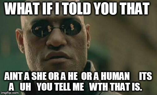 Matrix Morpheus Meme | WHAT IF I TOLD YOU THAT AINT A SHE OR A HE  OR A HUMAN     ITS A 

UH   YOU TELL ME   WTH THAT IS. | image tagged in memes,matrix morpheus | made w/ Imgflip meme maker