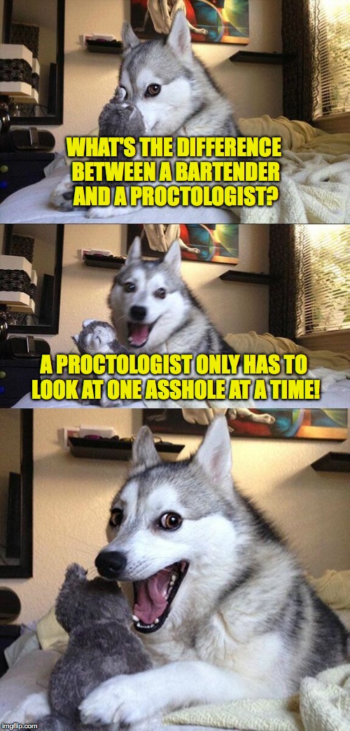 Bad Pun Dog Meme | WHAT'S THE DIFFERENCE BETWEEN A BARTENDER AND A PROCTOLOGIST? A PROCTOLOGIST ONLY HAS TO LOOK AT ONE ASSHOLE AT A TIME! | image tagged in memes,bad pun dog | made w/ Imgflip meme maker