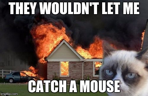 Burn Kitty | THEY WOULDN'T LET ME; CATCH A MOUSE | image tagged in memes,burn kitty,grumpy cat | made w/ Imgflip meme maker