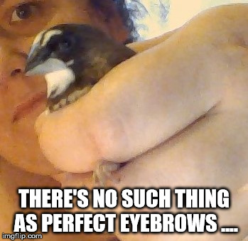 eyebrows on fleek | THERE'S NO SUCH THING AS PERFECT EYEBROWS .... | image tagged in eyebrows on fleek | made w/ Imgflip meme maker