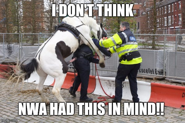 fuck the police | I DON'T THINK; NWA HAD THIS IN MIND!! | image tagged in fuck the police | made w/ Imgflip meme maker