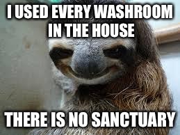Creepy sloth |  I USED EVERY WASHROOM IN THE HOUSE; THERE IS NO SANCTUARY | image tagged in creepy sloth,memes | made w/ Imgflip meme maker