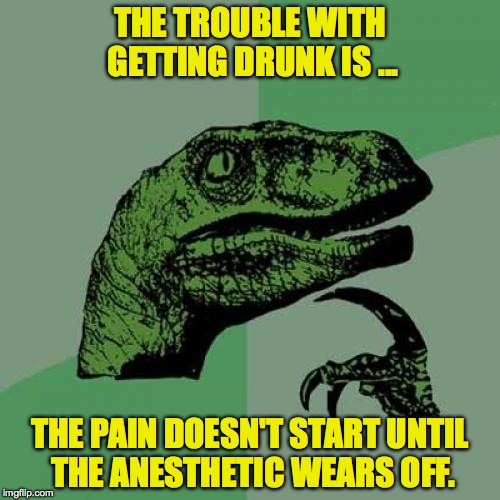 Philosoraptor Meme | THE TROUBLE WITH GETTING DRUNK IS ... THE PAIN DOESN'T START UNTIL THE ANESTHETIC WEARS OFF. | image tagged in memes,philosoraptor | made w/ Imgflip meme maker
