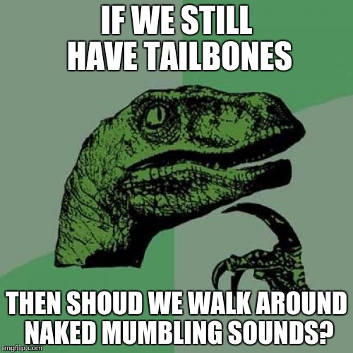 Philosoraptor Meme | IF WE STILL HAVE TAILBONES; THEN SHOUD WE WALK AROUND NAKED MUMBLING SOUNDS? | image tagged in memes,philosoraptor | made w/ Imgflip meme maker