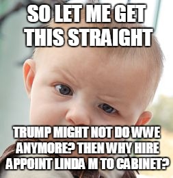 Skeptical Baby | SO LET ME GET THIS STRAIGHT; TRUMP MIGHT NOT DO WWE ANYMORE? THEN WHY HIRE APPOINT LINDA M TO CABINET? | image tagged in memes,skeptical baby | made w/ Imgflip meme maker