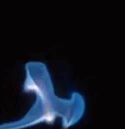 Steemit Flame 2 | image tagged in gifs | made w/ Imgflip video-to-gif maker