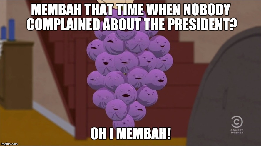 Member Berries | MEMBAH THAT TIME WHEN NOBODY COMPLAINED ABOUT THE PRESIDENT? OH I MEMBAH! | image tagged in memes,member berries | made w/ Imgflip meme maker