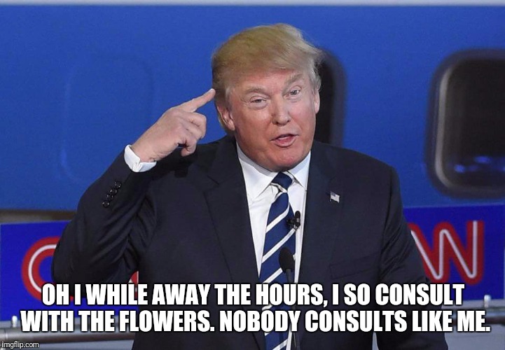 Brains | OH I WHILE AWAY THE HOURS, I SO CONSULT WITH THE FLOWERS. NOBODY CONSULTS LIKE ME. | image tagged in brains | made w/ Imgflip meme maker