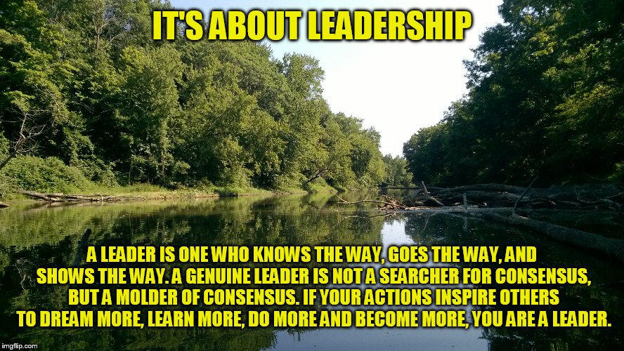 Are you a leader or a follower? | IT'S ABOUT LEADERSHIP; A LEADER IS ONE WHO KNOWS THE WAY, GOES THE WAY, AND SHOWS THE WAY. A GENUINE LEADER IS NOT A SEARCHER FOR CONSENSUS, BUT A MOLDER OF CONSENSUS. IF YOUR ACTIONS INSPIRE OTHERS TO DREAM MORE, LEARN MORE, DO MORE AND BECOME MORE, YOU ARE A LEADER. | image tagged in inspirational quote,memes | made w/ Imgflip meme maker