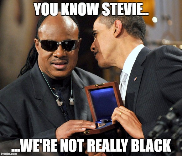The truth is out there | YOU KNOW STEVIE.. ...WE'RE NOT REALLY BLACK | image tagged in black,funny,obama,political | made w/ Imgflip meme maker
