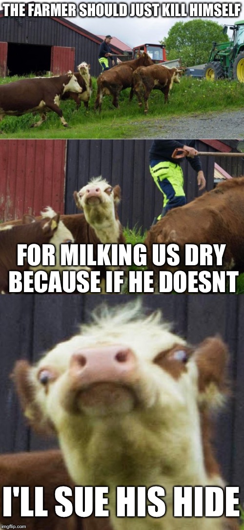 Bad pun cow  | THE FARMER SHOULD JUST KILL HIMSELF; FOR MILKING US DRY BECAUSE IF HE DOESNT; I'LL SUE HIS HIDE | image tagged in bad pun cow,memes | made w/ Imgflip meme maker