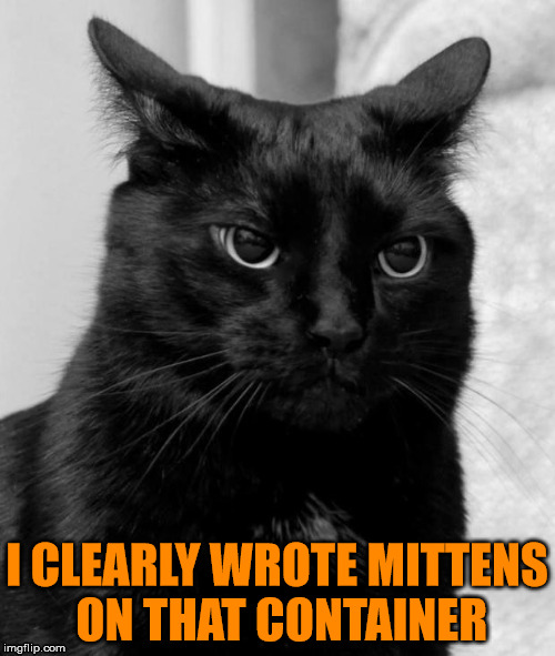 I CLEARLY WROTE MITTENS ON THAT CONTAINER | made w/ Imgflip meme maker
