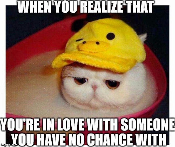 Sad Cat |  WHEN YOU REALIZE THAT; YOU'RE IN LOVE WITH SOMEONE YOU HAVE NO CHANCE WITH | image tagged in sad cat,love,heartbreak,bad luck brian | made w/ Imgflip meme maker