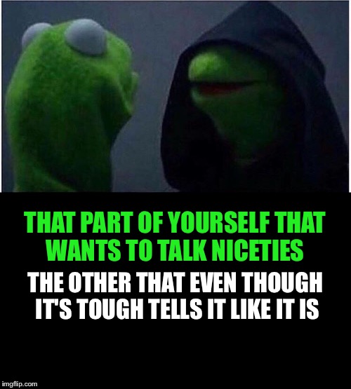 Like it is | THAT PART OF YOURSELF THAT WANTS TO TALK NICETIES; THE OTHER THAT EVEN THOUGH IT'S TOUGH TELLS IT LIKE IT IS | image tagged in muppets,self,truth,kermit the frog,hood,mirror | made w/ Imgflip meme maker