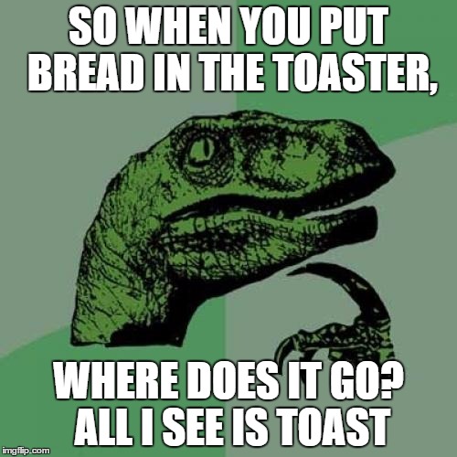 Philosoraptor | SO WHEN YOU PUT BREAD IN THE TOASTER, WHERE DOES IT GO? ALL I SEE IS TOAST | image tagged in memes,philosoraptor | made w/ Imgflip meme maker