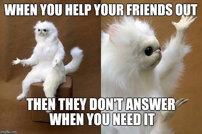 Persian Cat Room Guardian | WHEN YOU HELP YOUR FRIENDS OUT; THEN THEY DON'T ANSWER WHEN YOU NEED IT | image tagged in memes,persian cat room guardian | made w/ Imgflip meme maker