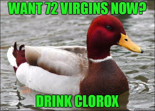 Duck duck kill yourself. | WANT 72 VIRGINS NOW? DRINK CLOROX | image tagged in make actual bad advice mallard | made w/ Imgflip meme maker