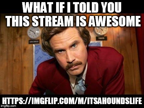 What if I told you | WHAT IF I TOLD YOU THIS STREAM IS AWESOME; HTTPS://IMGFLIP.COM/M/ITSAHOUNDSLIFE | image tagged in what if i told you | made w/ Imgflip meme maker