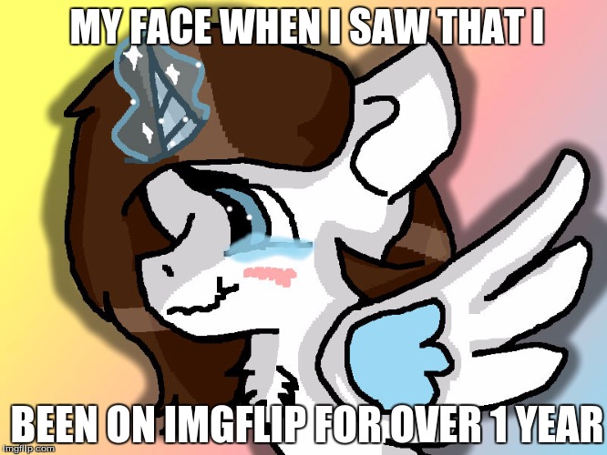 1 year and 2 months!!! | MY FACE WHEN I SAW THAT I; BEEN ON IMGFLIP FOR OVER 1 YEAR | image tagged in mlp,memes,skyla,1year,improvement,yay | made w/ Imgflip meme maker