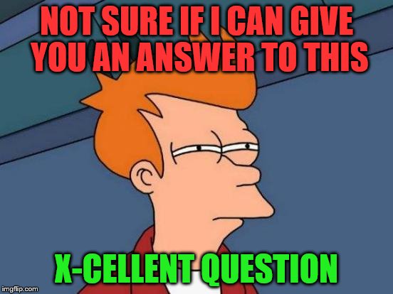 Futurama Fry Meme | NOT SURE IF I CAN GIVE YOU AN ANSWER TO THIS X-CELLENT QUESTION | image tagged in memes,futurama fry | made w/ Imgflip meme maker
