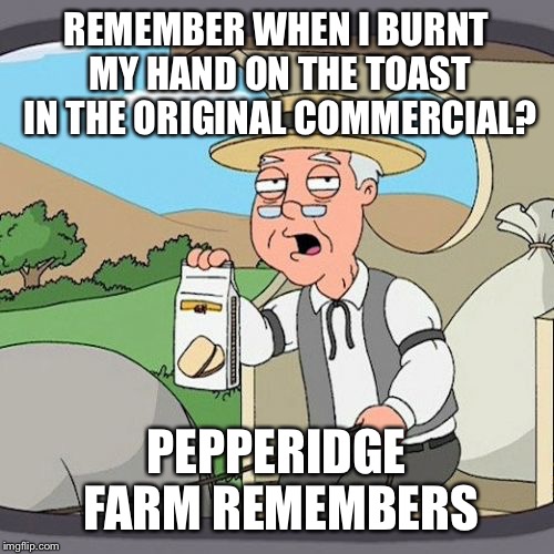 Pepperidge Farm Remembers | REMEMBER WHEN I BURNT MY HAND ON THE TOAST IN THE ORIGINAL COMMERCIAL? PEPPERIDGE FARM REMEMBERS | image tagged in memes,pepperidge farm remembers | made w/ Imgflip meme maker