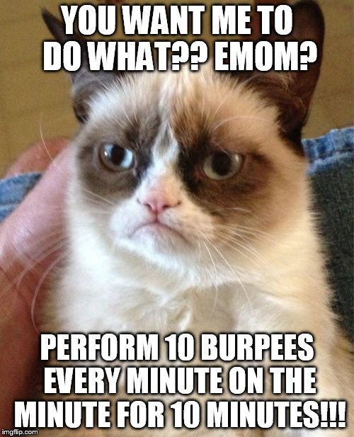 Grumpy Cat | YOU WANT ME TO DO WHAT?? EMOM? PERFORM 10 BURPEES EVERY MINUTE ON THE MINUTE FOR 10 MINUTES!!! | image tagged in memes,grumpy cat | made w/ Imgflip meme maker