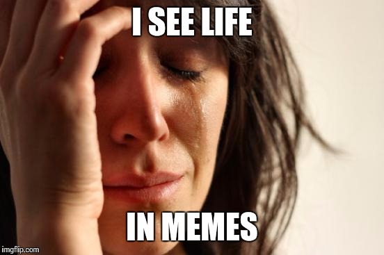 First World Problems | I SEE LIFE; IN MEMES | image tagged in memes,first world problems | made w/ Imgflip meme maker