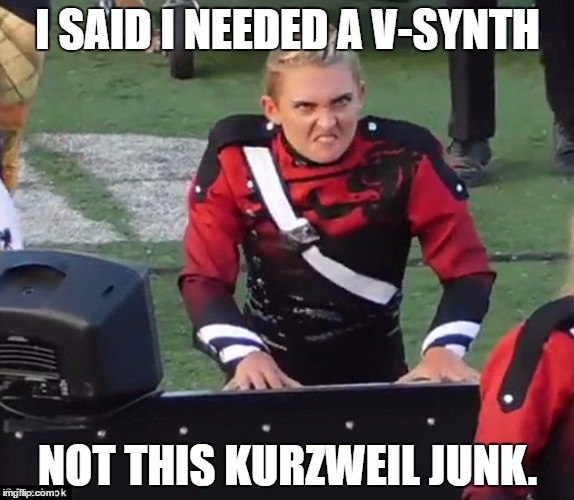 V Synth Not Kurzweil | I SAID I NEEDED A V-SYNTH; NOT THIS KURZWEIL JUNK. | image tagged in synthesizer,electronica,electronic music | made w/ Imgflip meme maker