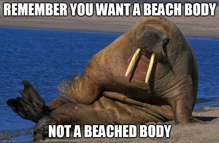 beach body | REMEMBER YOU WANT A BEACH BODY; NOT A BEACHED BODY | image tagged in beach body | made w/ Imgflip meme maker