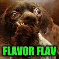 Flav's Dog | image tagged in funny | made w/ Imgflip meme maker