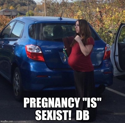 PREGNANCY "IS" SEXIST!  DB | image tagged in pregnancy sexism misogyny antinatalism natalism | made w/ Imgflip meme maker